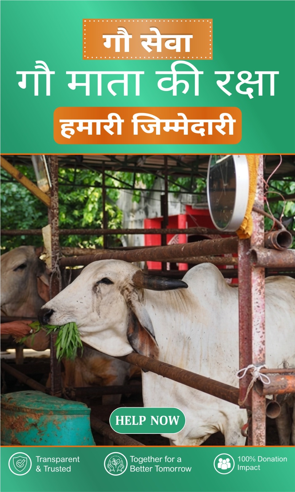 WhatsApp Image 2026-05-06 at 11.12.58 AM (1)